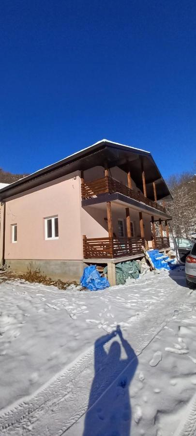 Vila Nika Crni Vrh Dış mekan fotoğraf